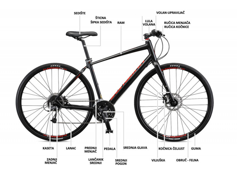Anatomija bicikla i najvažniji delovi
