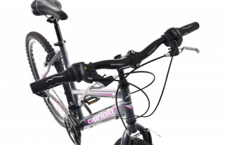 Bicikl Caprriolo Passion Lady 26 sivi 