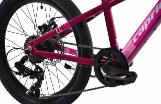 Dečiji Bicikl LC 200 ljubičasti 