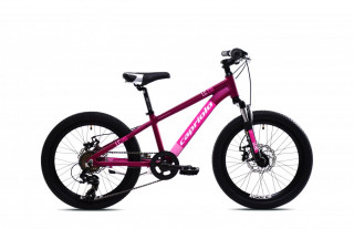 Dečiji Bicikl LC 200 ljubičasti 