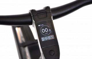 E bike BELT drive crno sivi 