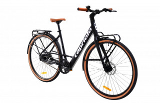 E bike BELT drive crno sivi 