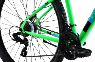 Bicikl Capriolo MTB LC 9.X 29  zeleno 