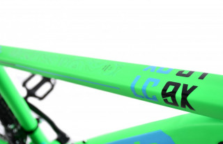 Bicikl Capriolo MTB LC 9.X 29  zeleno 