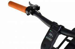 Bicikl E-Bike Belt Drive sivo-bež 