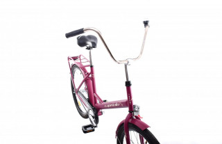 Bicikl EVERYDAY bordo 