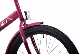 Bicikl EVERYDAY bordo 