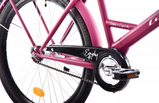 Bicikl EVERYDAY bordo 