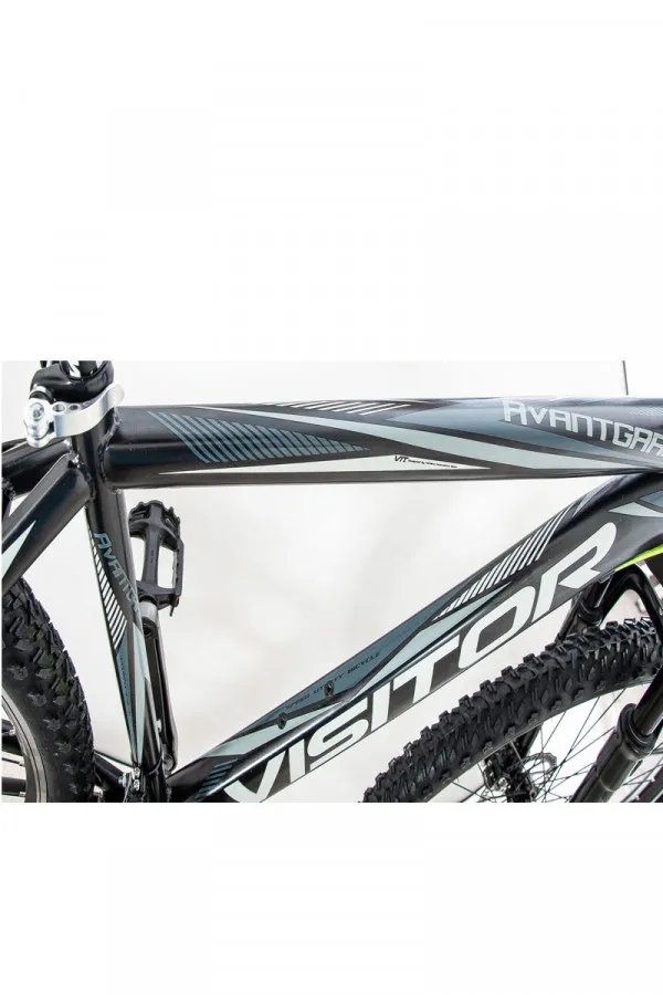 Bicikl MTB Visitor Avangard hidraulični disk crno-sivi 29