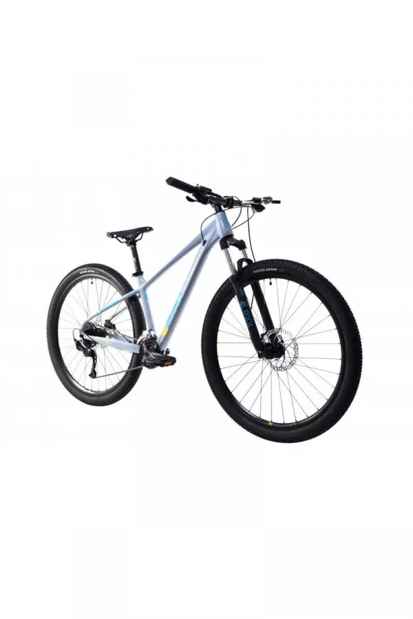 Bicikl MTB 29 Cpro al-pha 9.4 sivo 