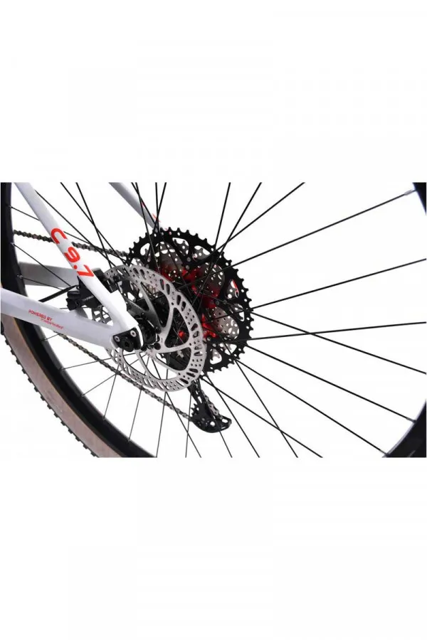 Bicikl MTB 29 Cpro c 9.7 sivo 