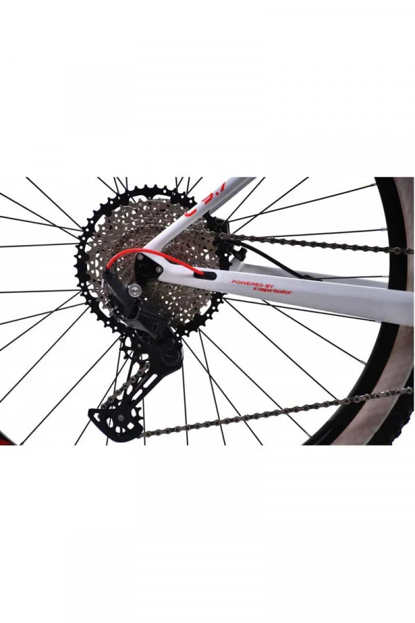 Bicikl MTB 29 Cpro c 9.7 sivo 