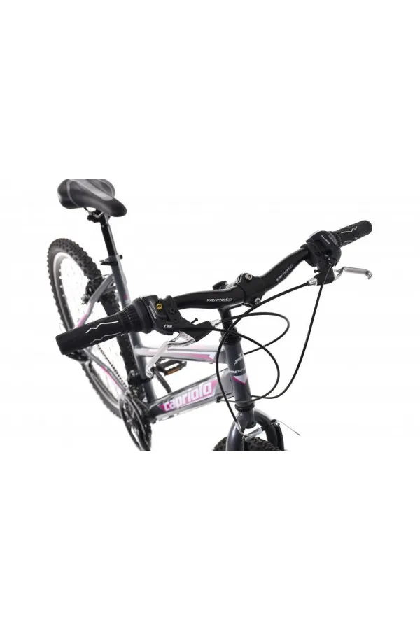 Bicikl Caprriolo Passion Lady 26 sivi 