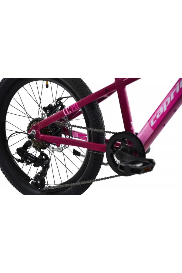 Dečiji Bicikl LC 200 ljubičasti 