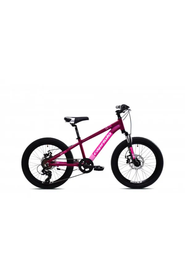 Dečiji Bicikl LC 200 ljubičasti 