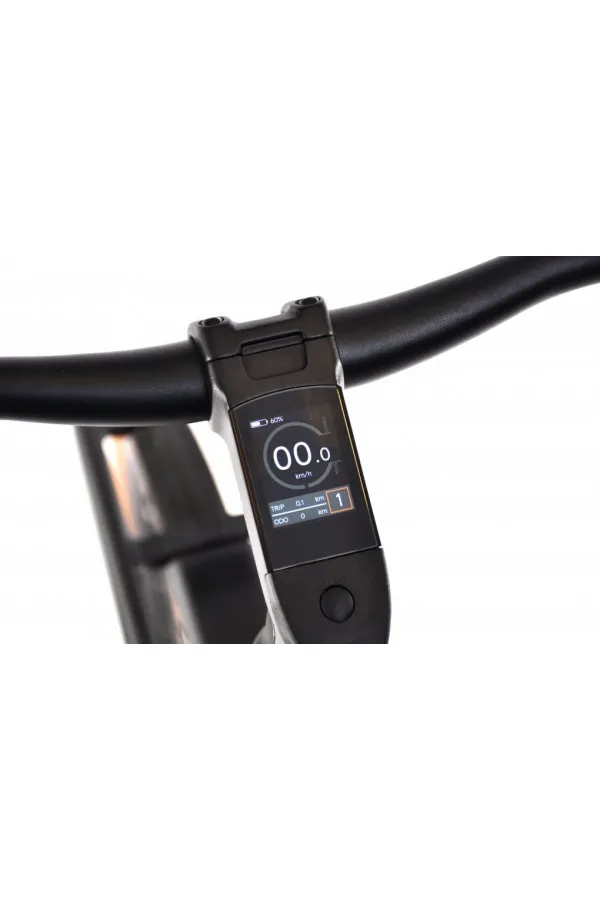 E bike BELT drive crno sivi 