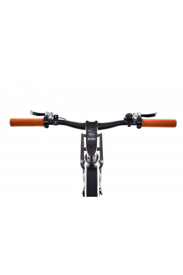 E bike BELT drive crno sivi 