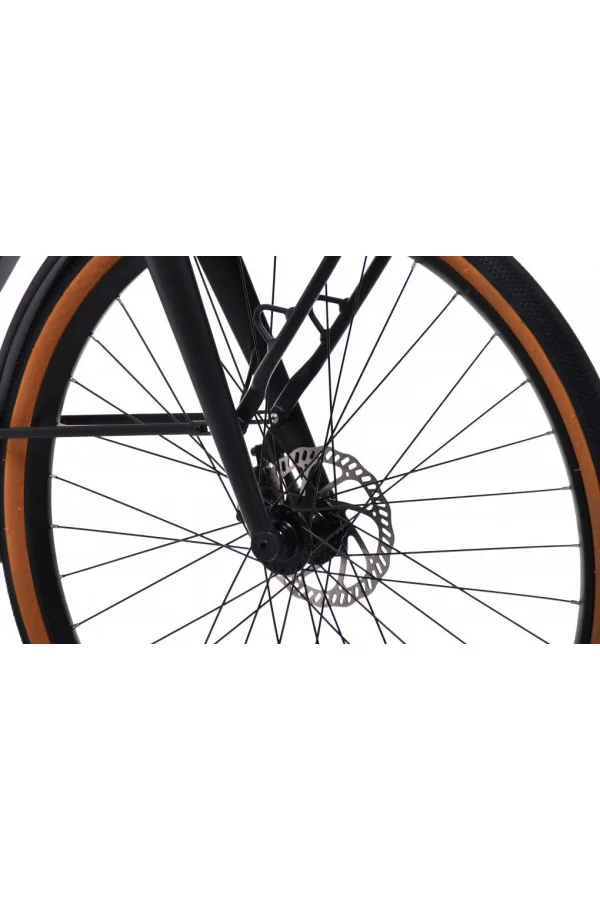 E bike BELT drive crno sivi 