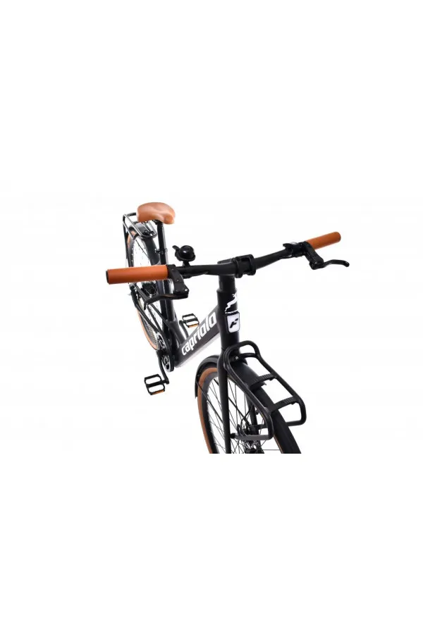 E bike BELT drive crno sivi 