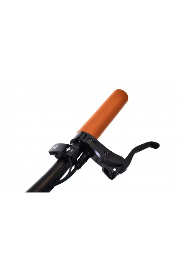 E bike BELT drive crno sivi 