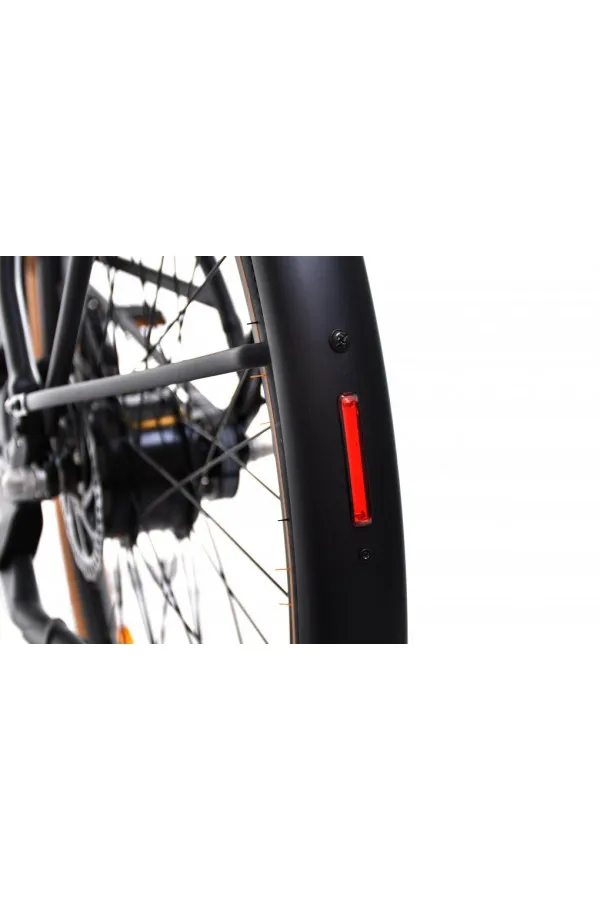 E bike BELT drive crno sivi 