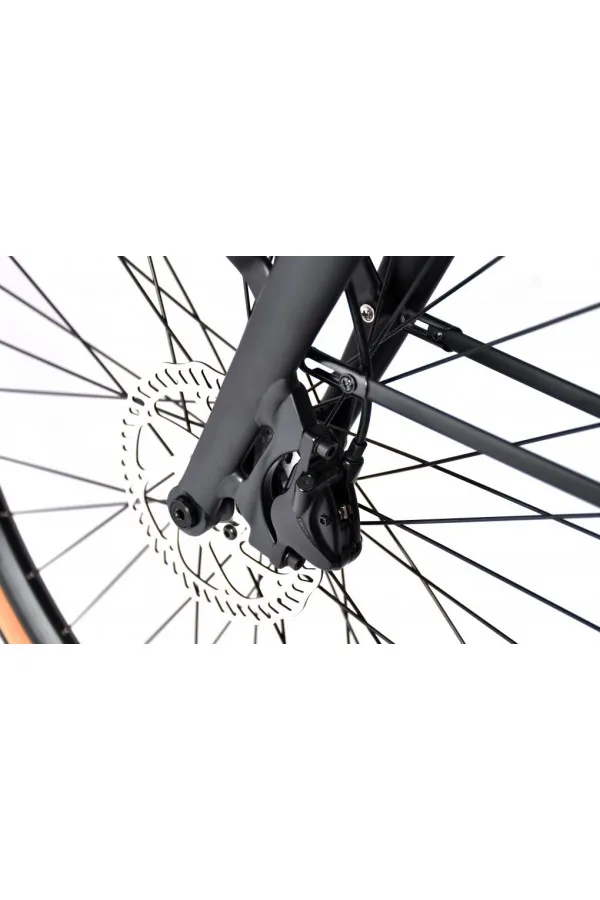 E bike BELT drive crno sivi 