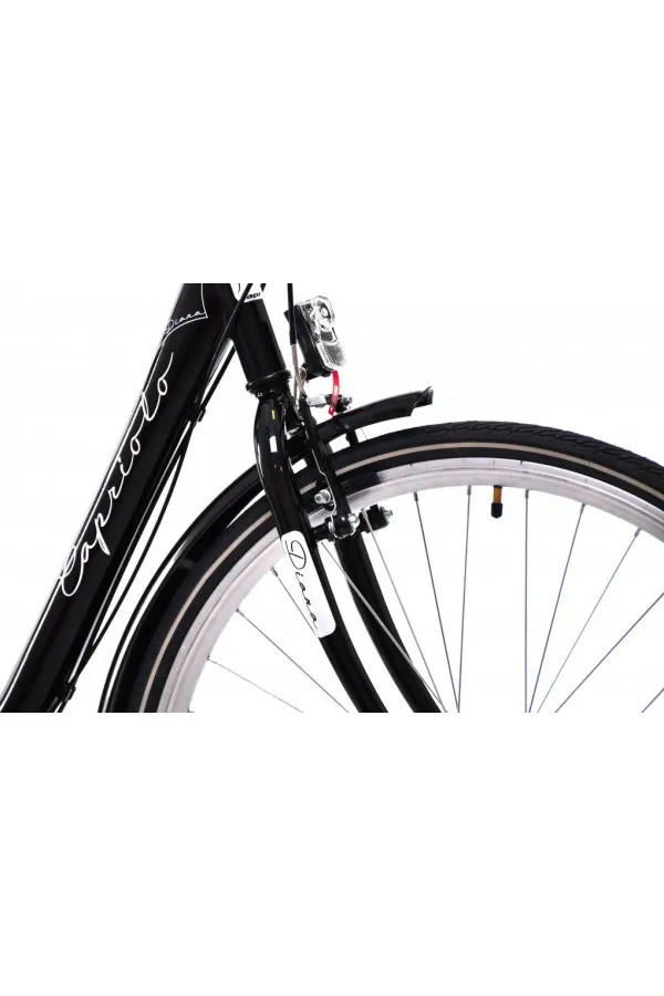 Gradski bicikl Diana city 18 28 crna 