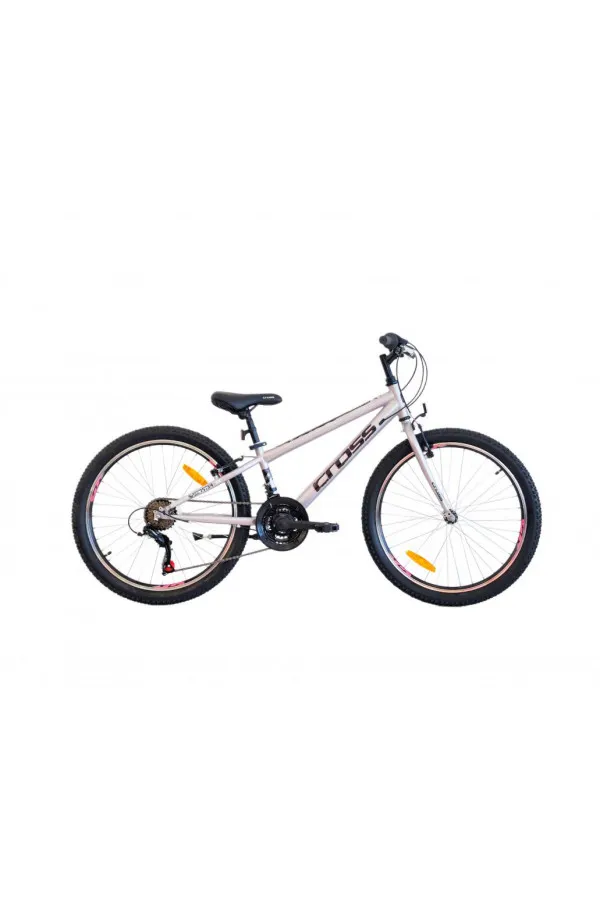 Bicikl CROSS SPEEDSTER STEEL / Grey 24 