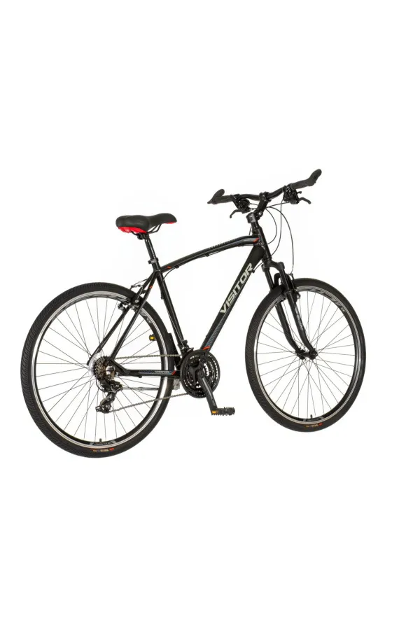 Bicikl Visitor Terra Man 28 sport sivi 