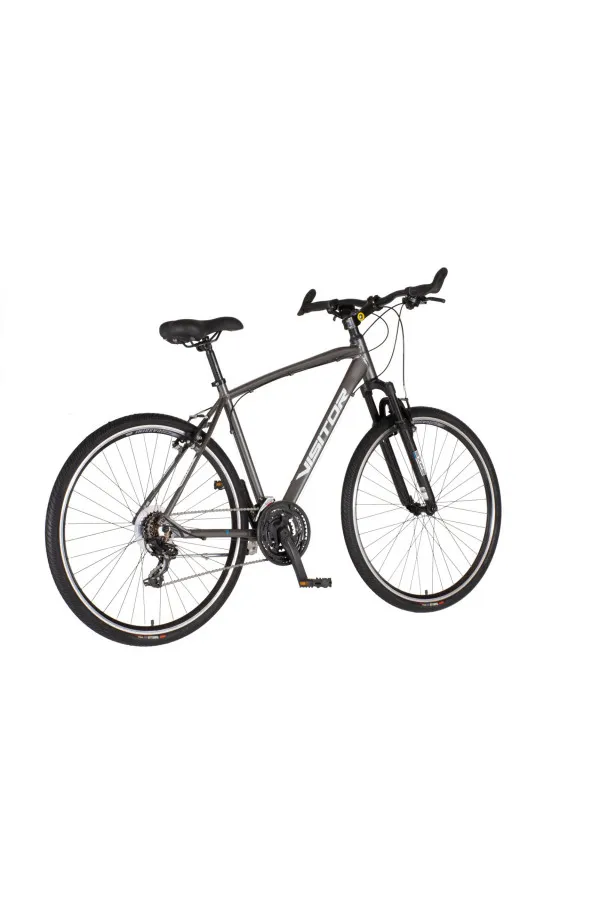 Bicikl Visitor Terra Man 28 sport sivi 