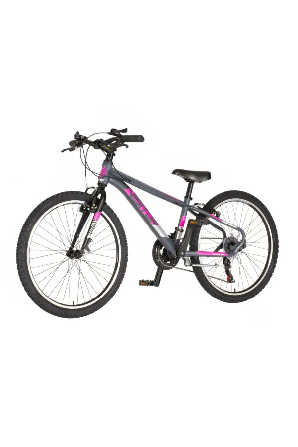 Bicikl Visitor Radiance 24 sivo roze 