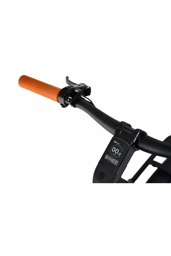 Bicikl E-Bike Belt Drive sivo-bež 