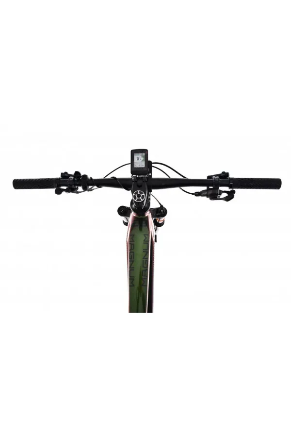 Bicikl E-BIKE Magnum crni 29 