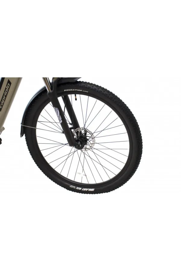 Bicikl E-Bike JOURNEY svetlo maslina 29 