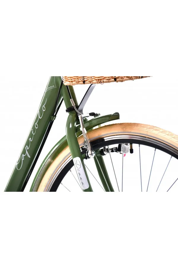 Bicikl Diana zeleno 28 