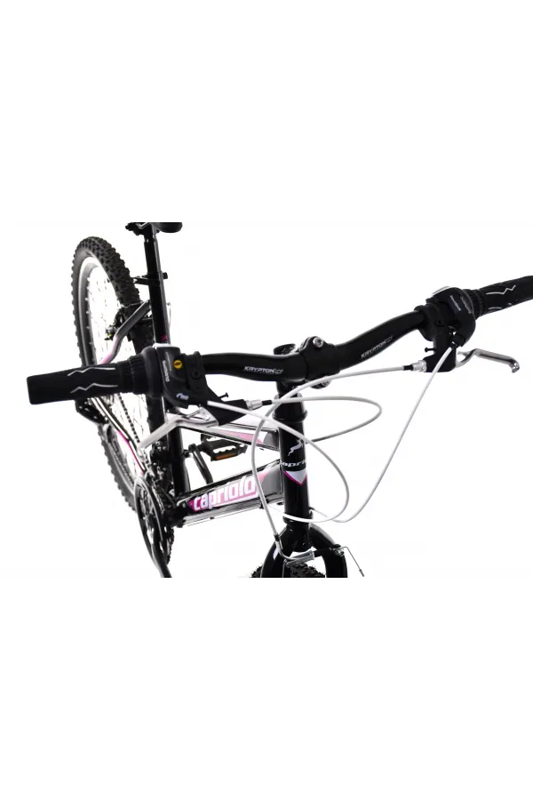 Bicikl MTB PASSION L 26/18HT crno 