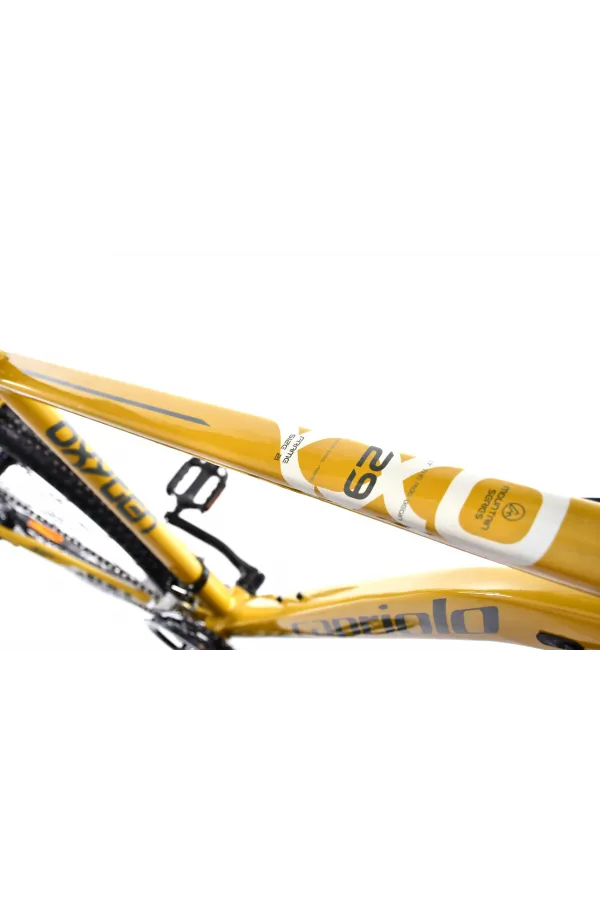 Bicikl MTB OXYGEN 29/21HT oker-sivo 