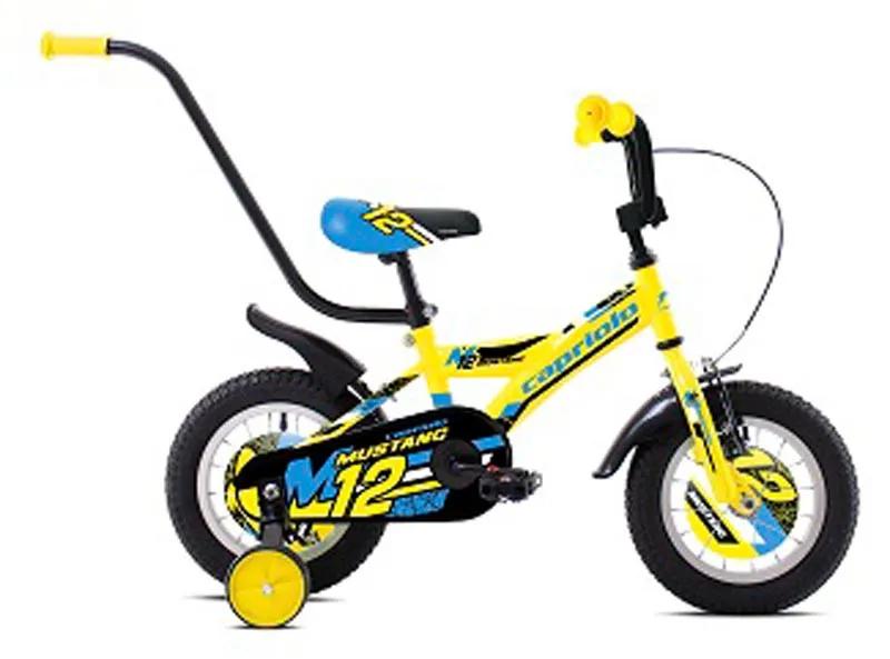 BMX 12