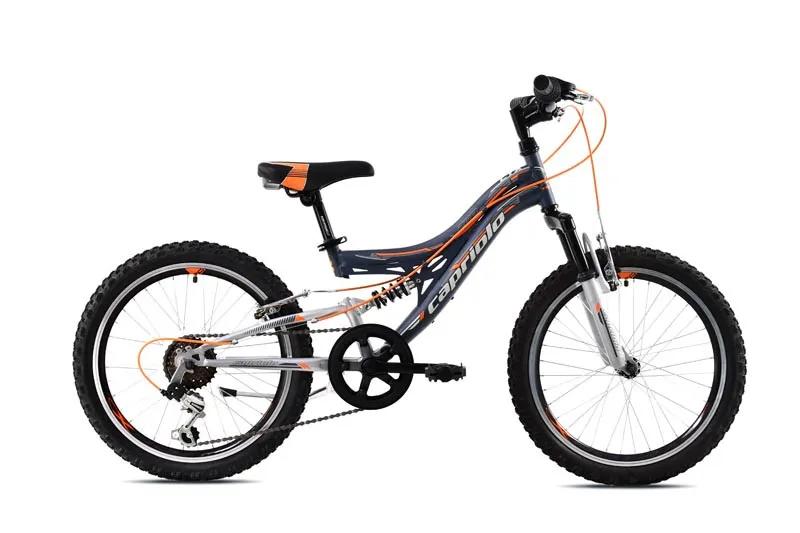 Bicikl dečiji MTB Capriolo CTX 200 20