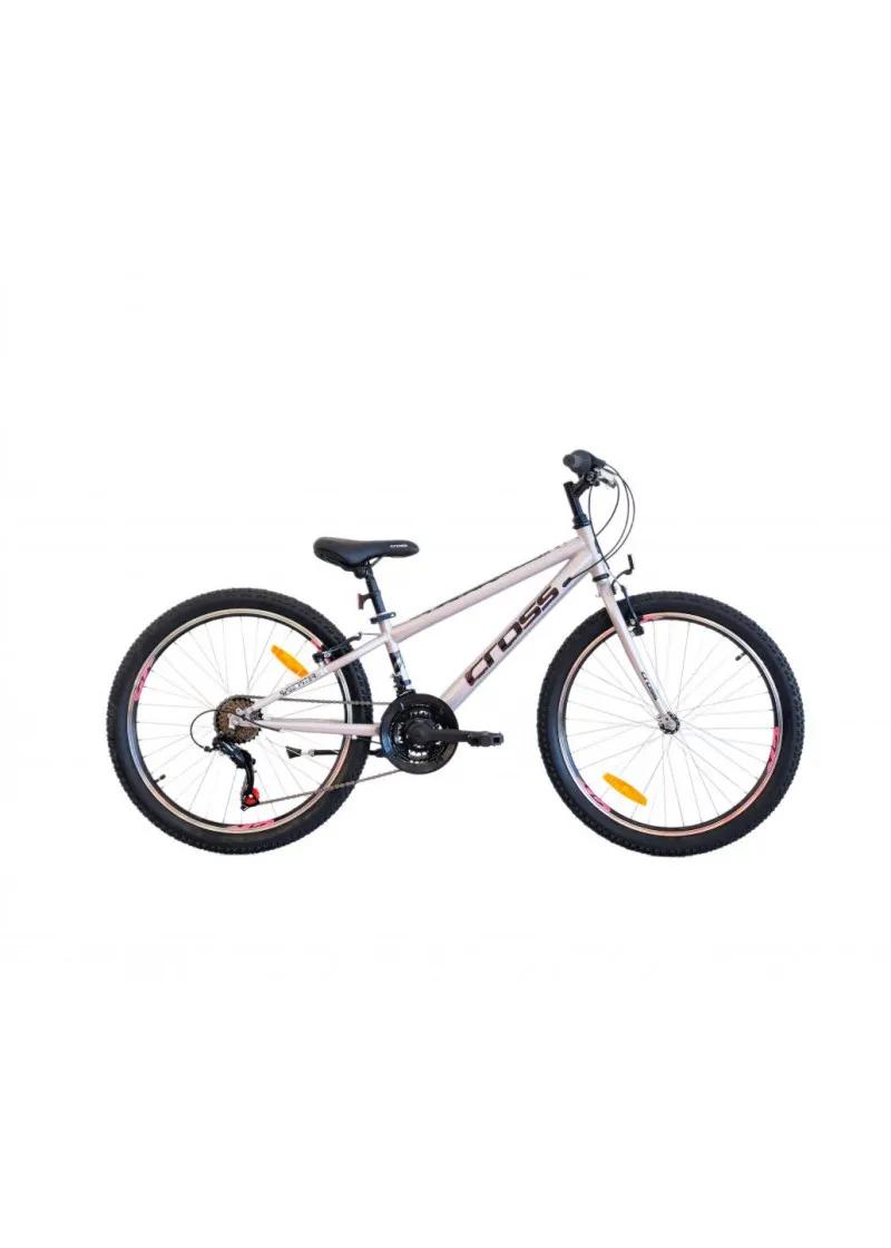 Bicikl CROSS SPEEDSTER STEEL / Grey 24 